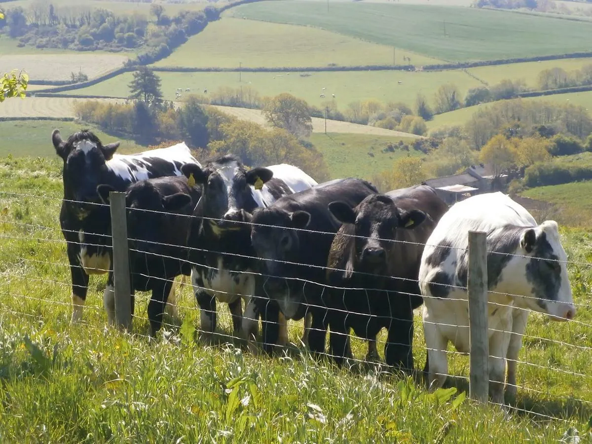 Harepath Farm Cottages 1 Exeter 0*,  United Kingdom